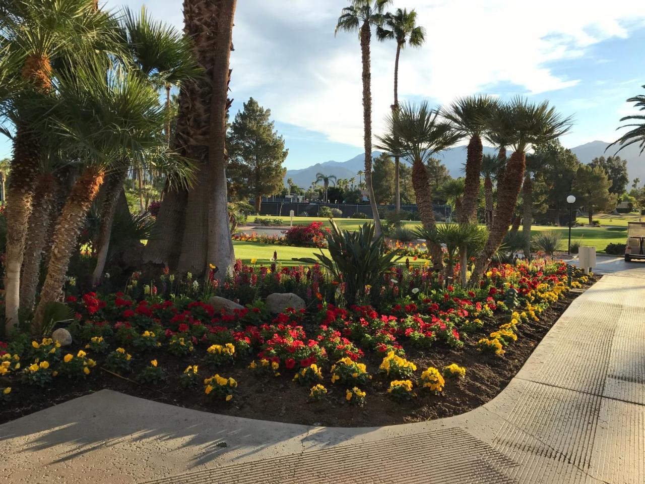 Вілла Palm Springs-Desert Princess Country Club Катідрал-Сіті Екстер'єр фото